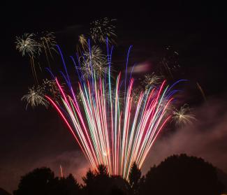 silhouette of tree under multicolored fireworks by Jeffrey Hamilton courtesy of Unsplash.