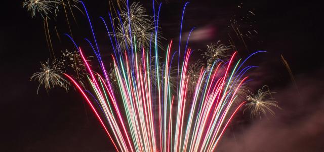 silhouette of tree under multicolored fireworks by Jeffrey Hamilton courtesy of Unsplash.